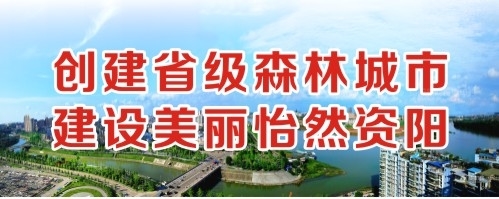 鸡巴操小屄创建省级森林城市 建设美丽怡然资阳